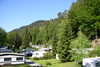 Schwarzwald Camping Müllerwiese